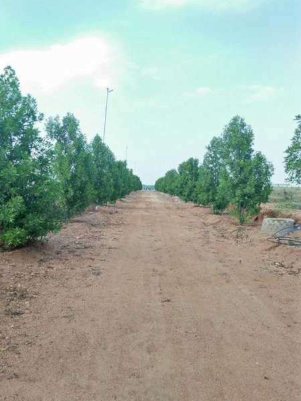 akash-vihar-elite Plot