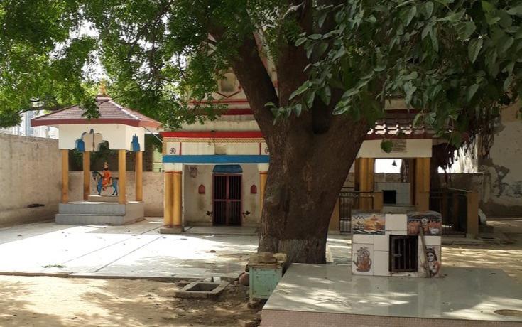 gallery/3029895-103068380