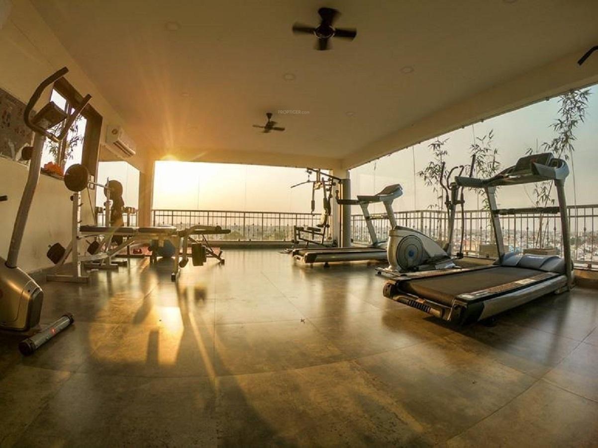 prime Gymnasium