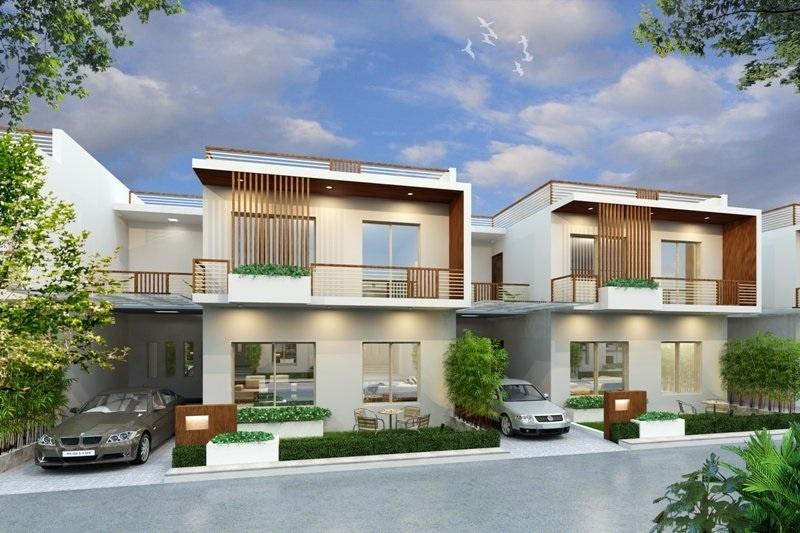 rhea-bird-of-paradise Elevation