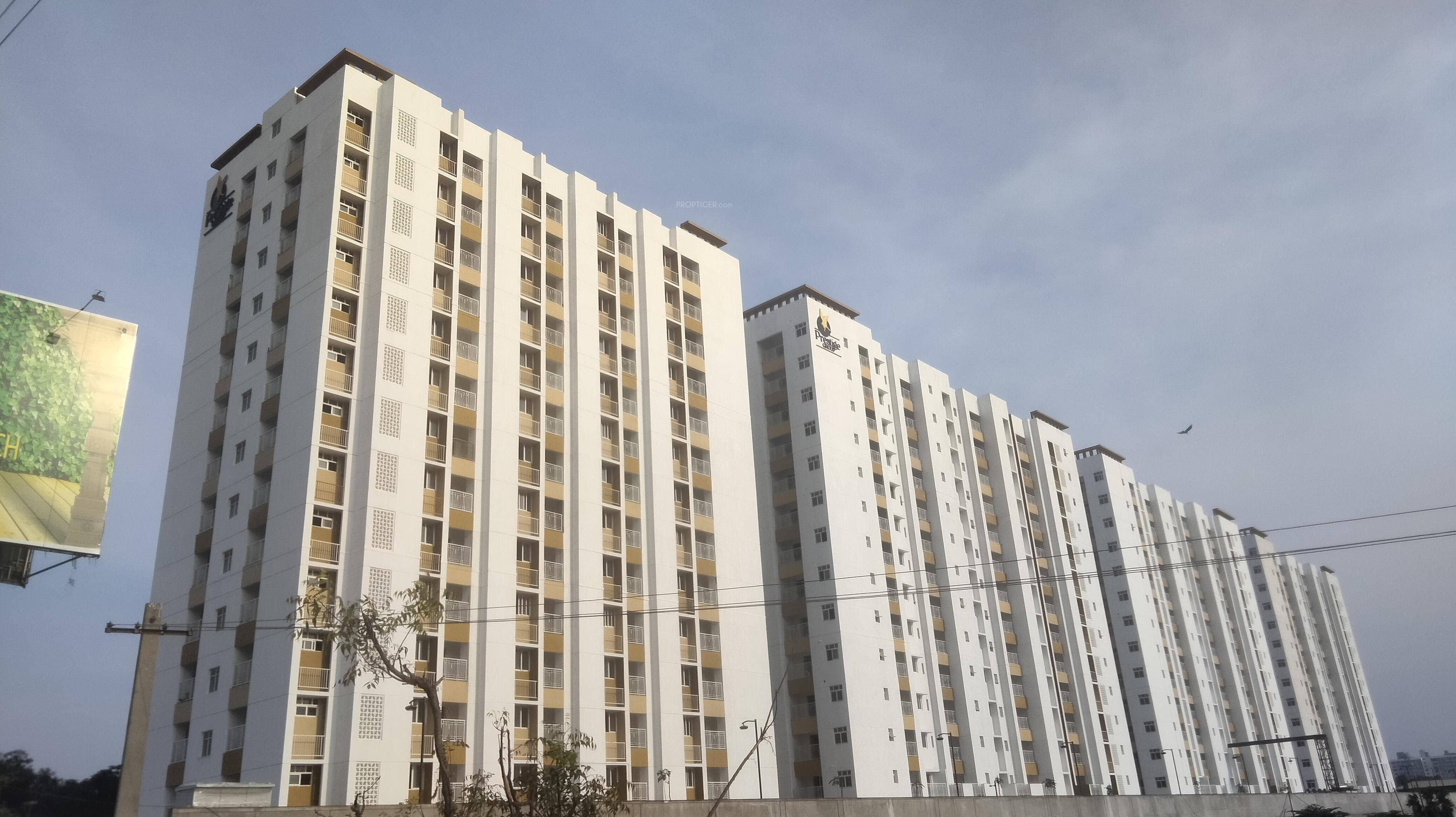 windsor-park Elevation