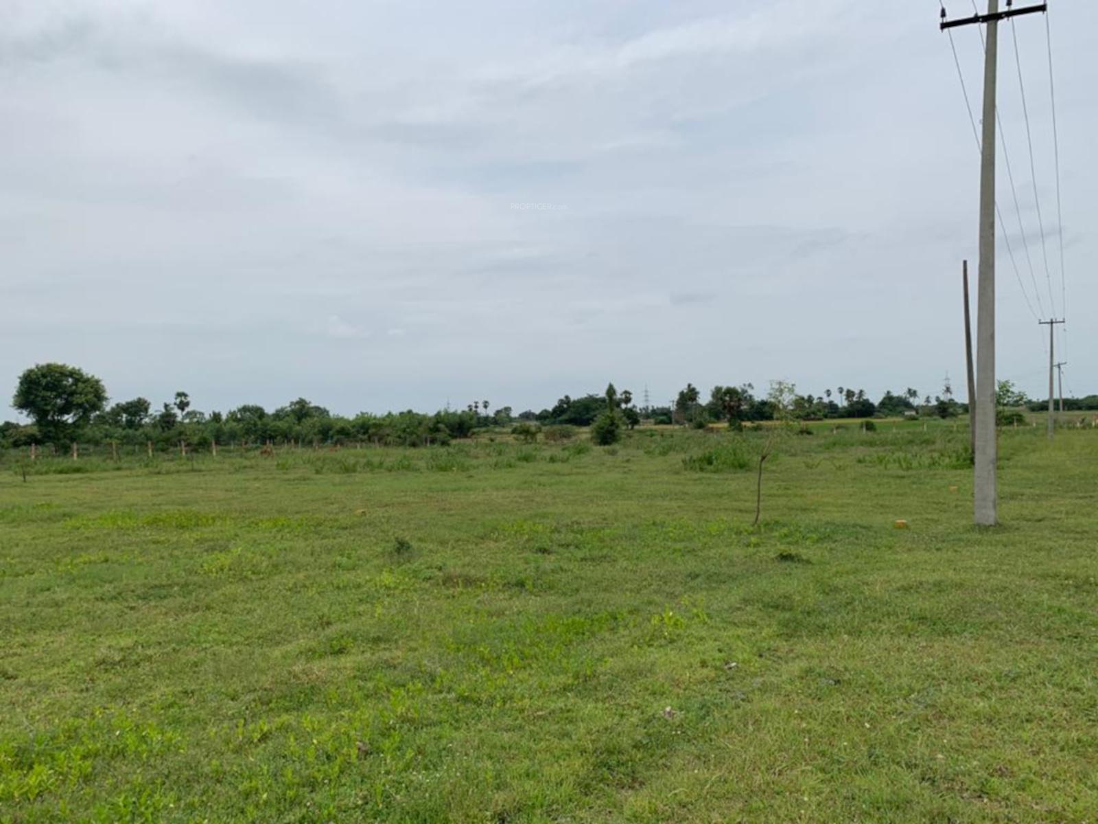 sri-arunachaleswarar-nagar Elevation