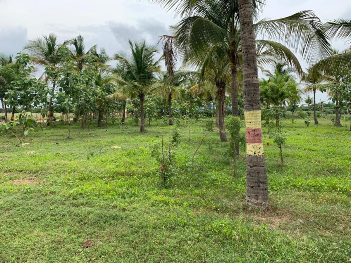 sri-arunachaleswarar-nagar Plot