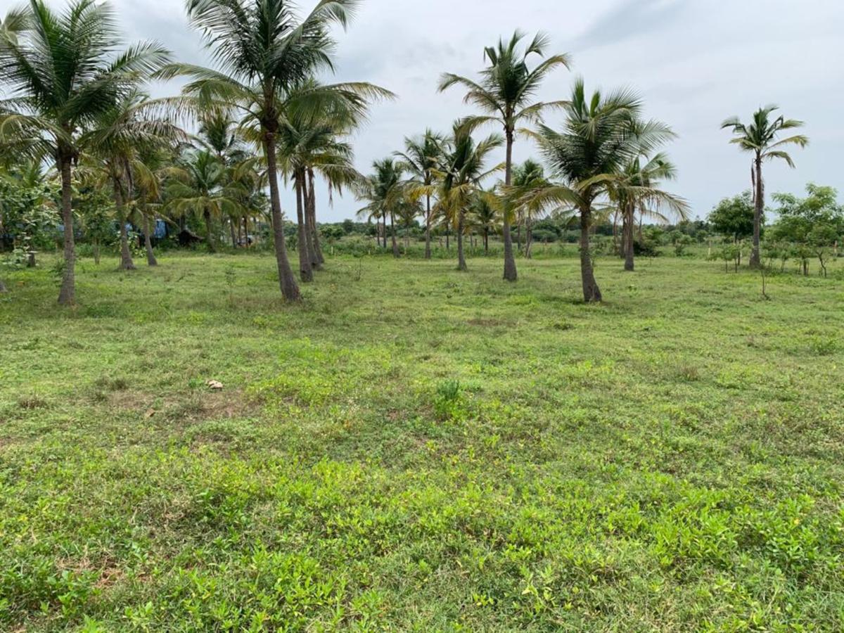 sri-arunachaleswarar-nagar Plot