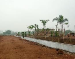 Sage Milestone Phase I A