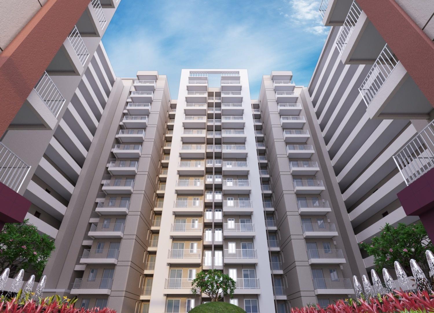 bcc-daffodils Elevation