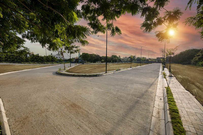 magnolia-woods Others