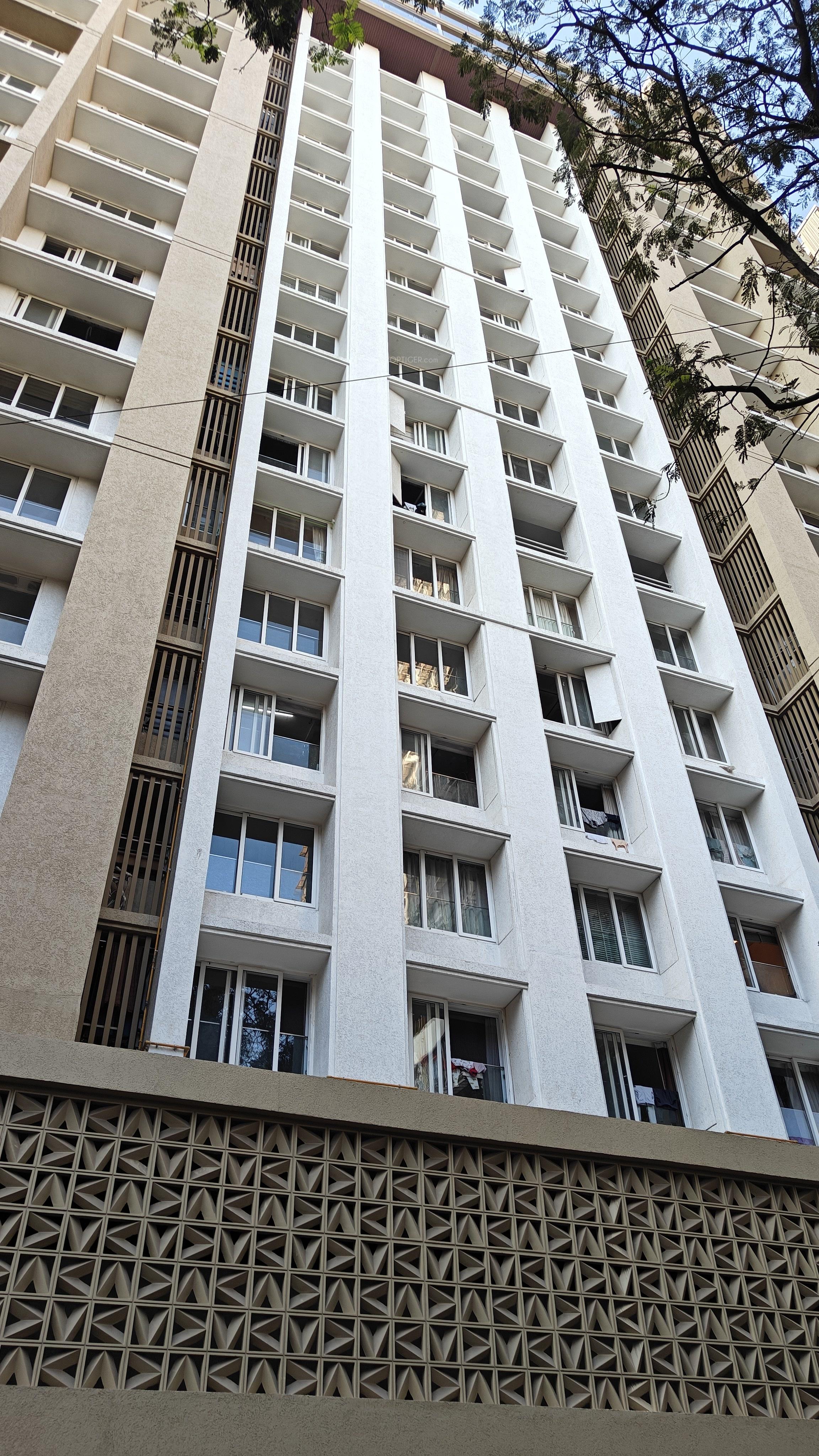 avalon Elevation