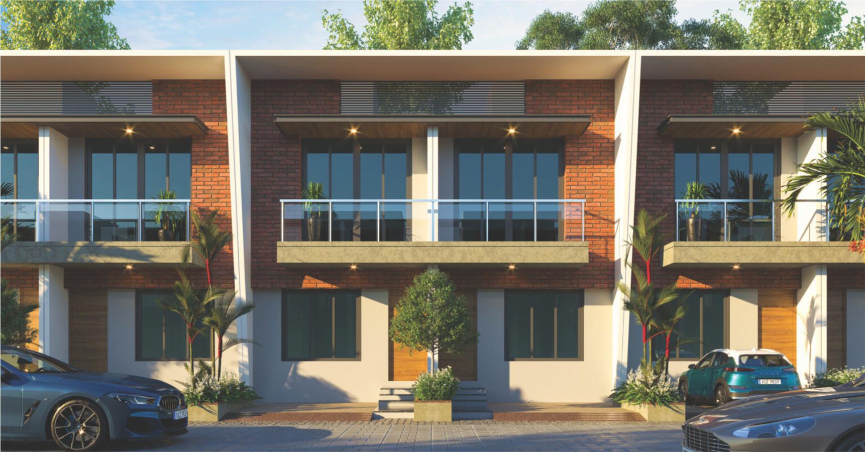 marigold Elevation