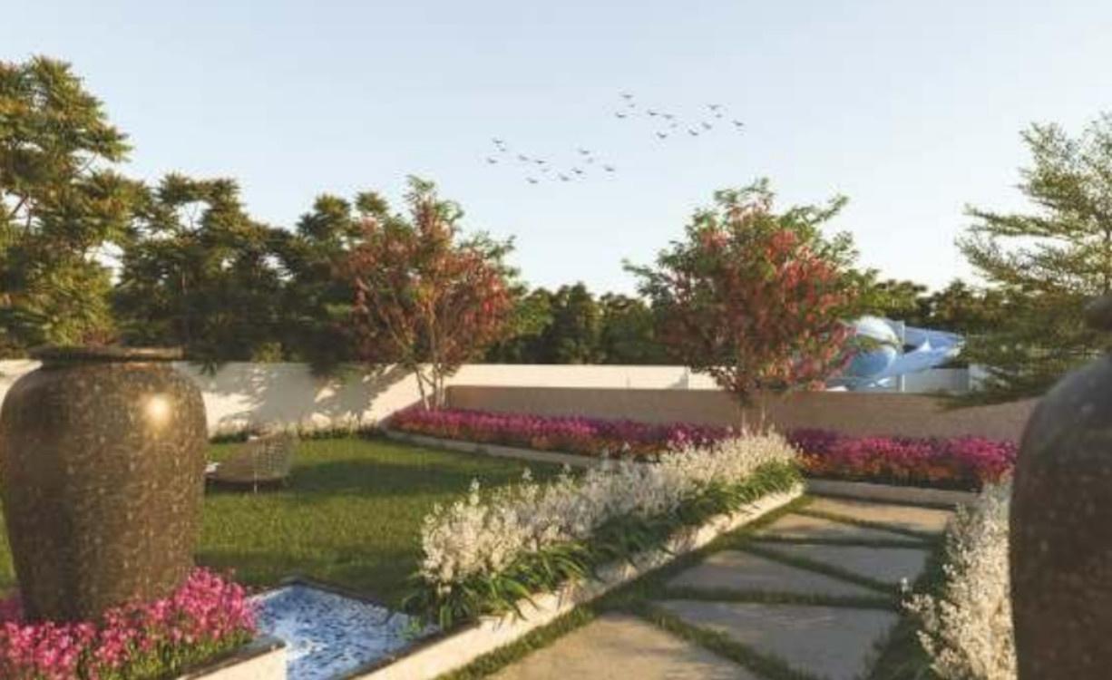 marigold Landscape Garden and Tree Planting