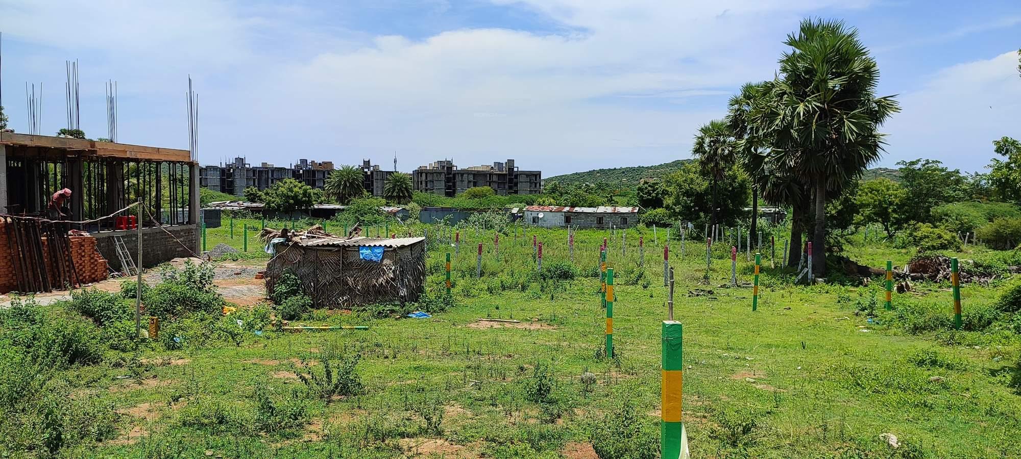 enclave Plot
