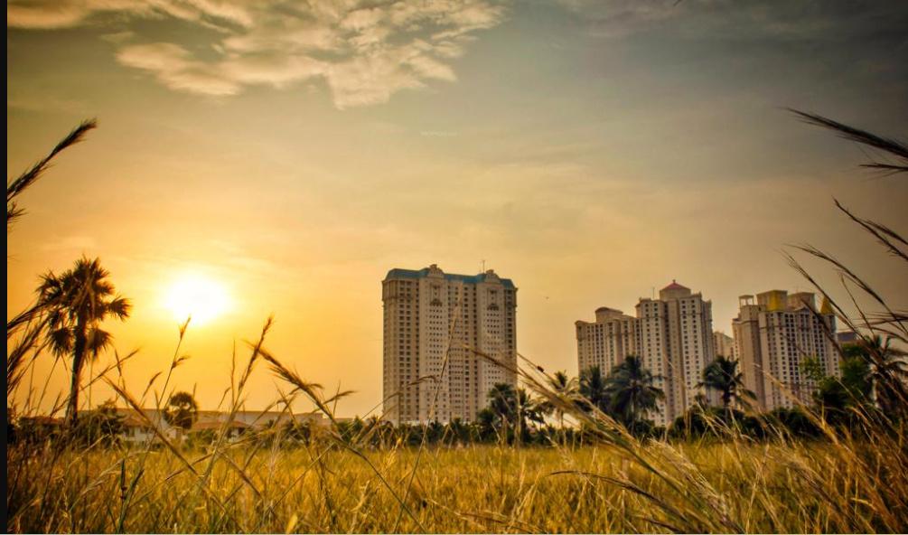 octavius-building-no-50 Elevation