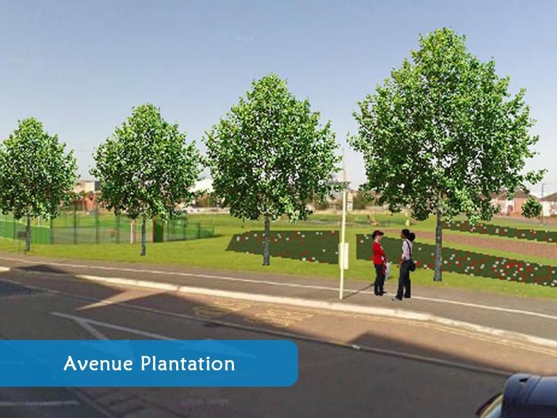 super-star Landscaped Gardens