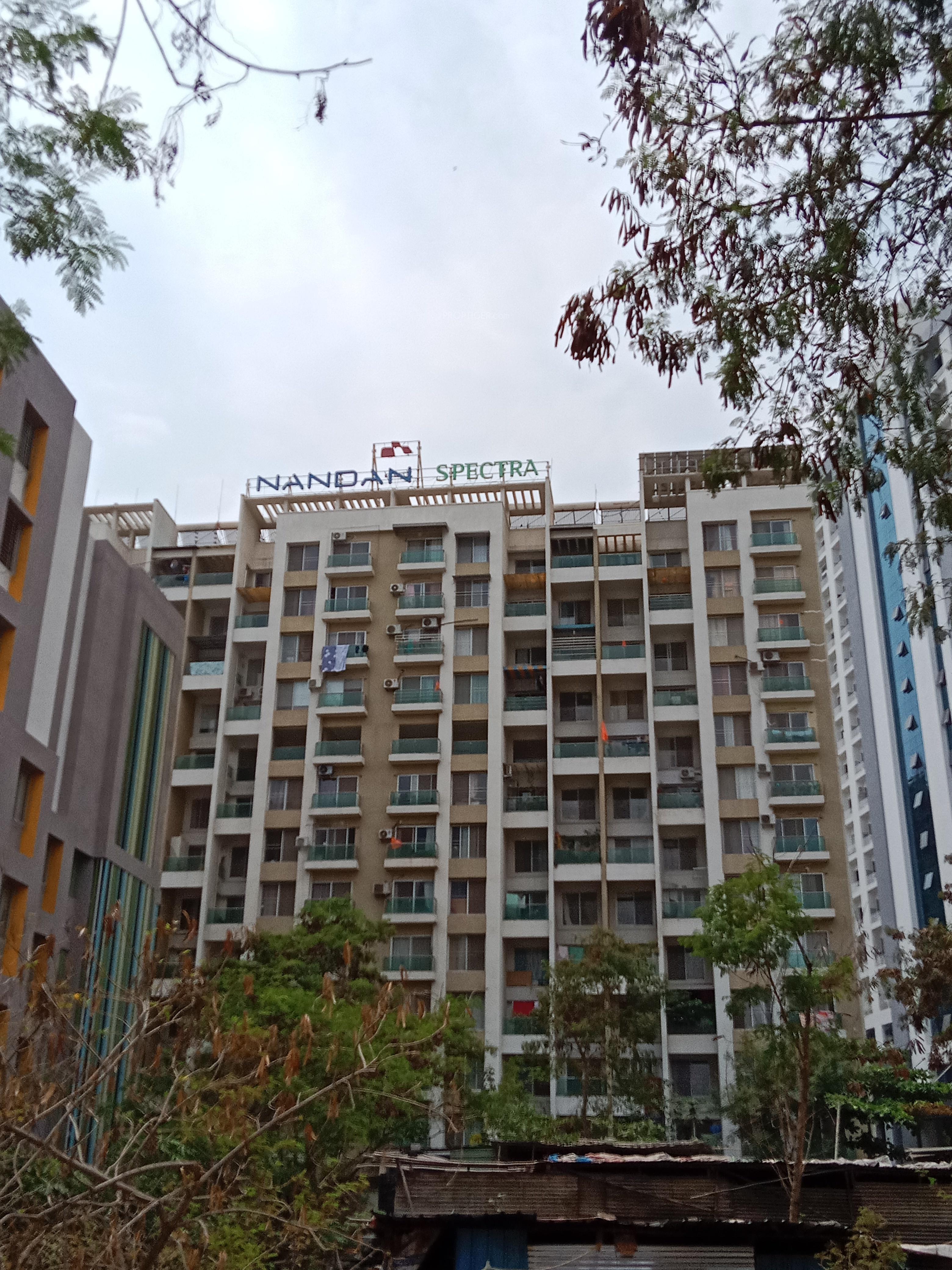 nandan-ace Elevation