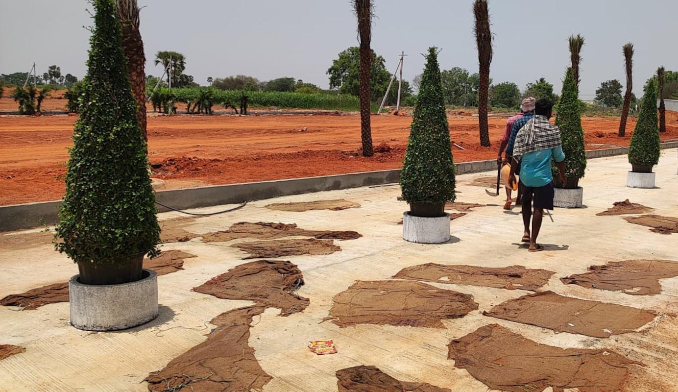 haritha-vanam Plot