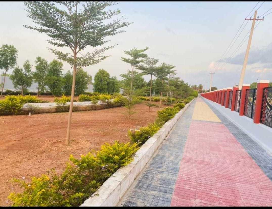 spalena-wavon Plot