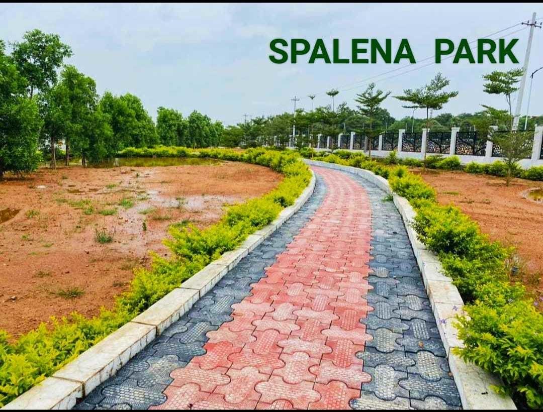 spalena-wavon Plot