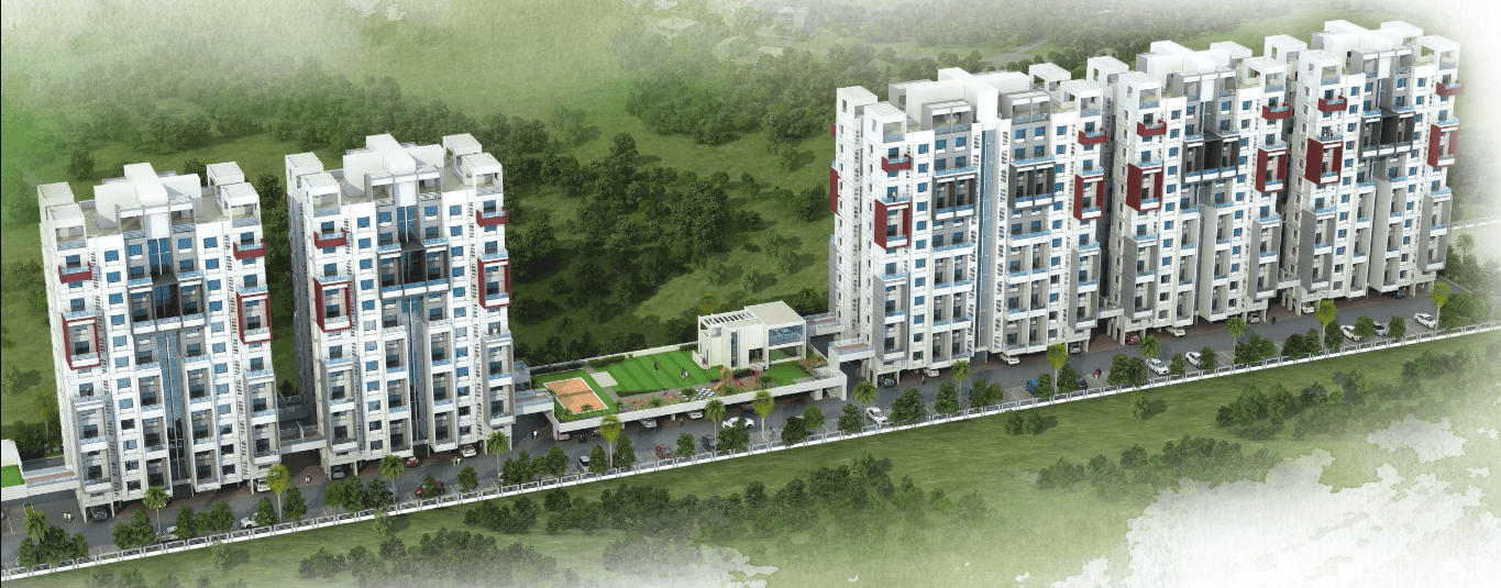 coloronic-phase-iii Elevation