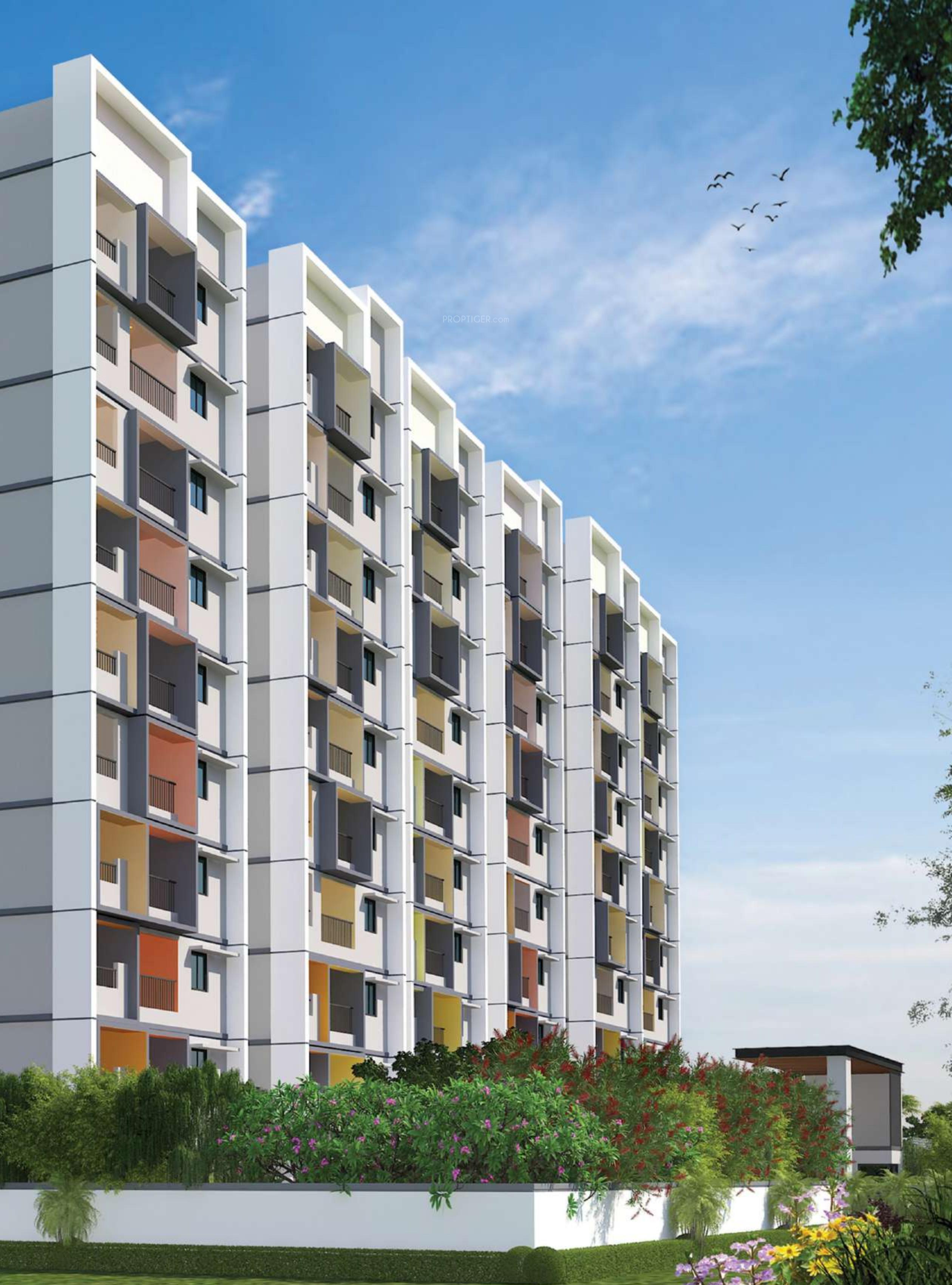 green-waters Elevation