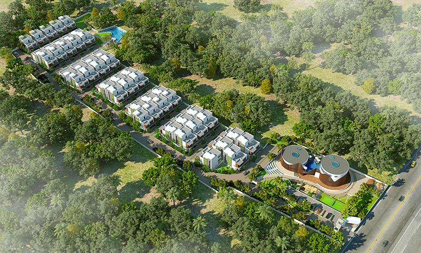 natura-daintree-ii Elevation