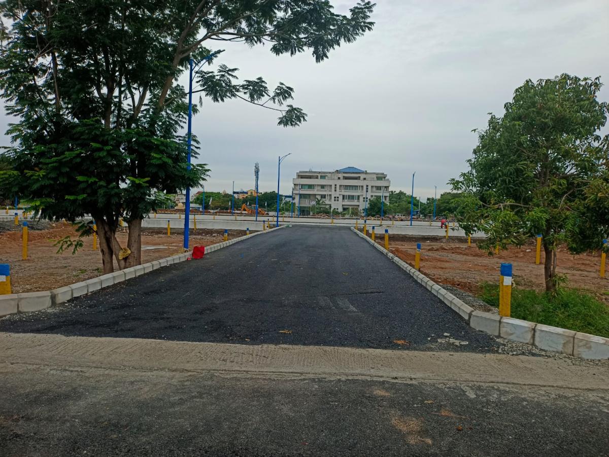 bloom-phase-ii Others