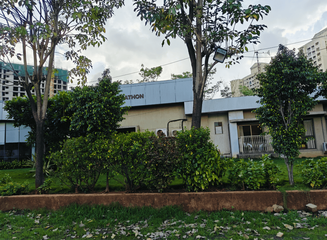 nextown-jasper Landscape Garden and Tree Planting