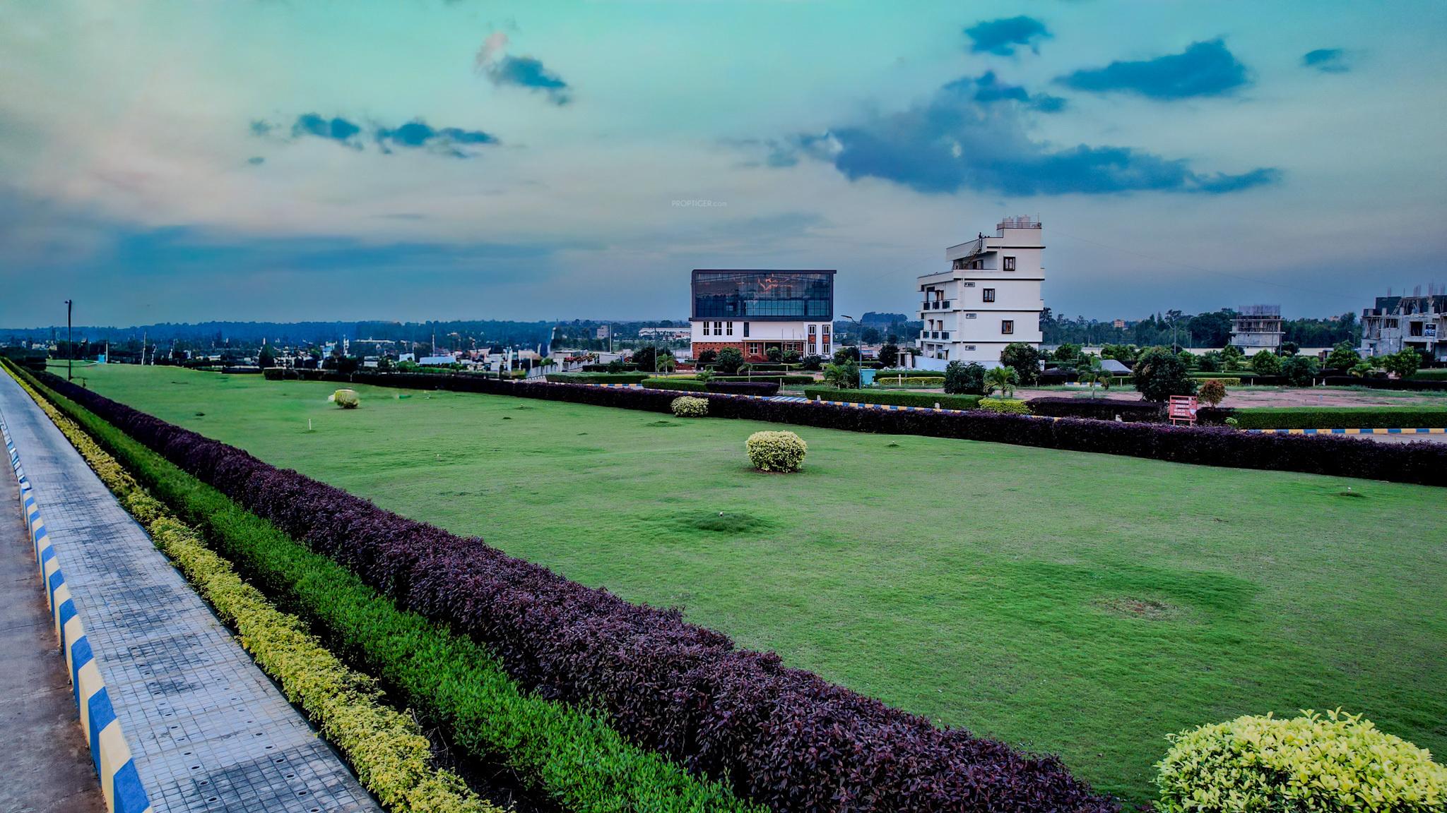 homes-paradise Landscape Garden and Tree Planting