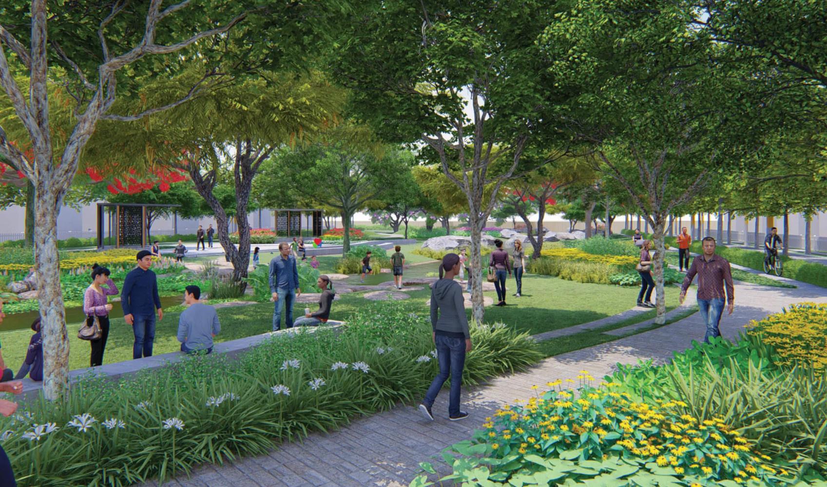 oasis-phase-2 Others