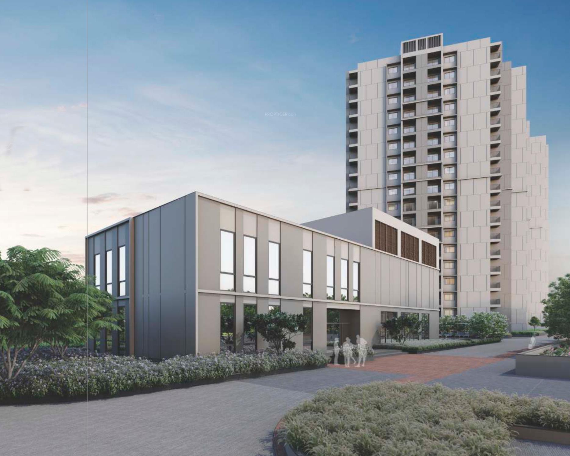 orchid-bloomberry Elevation