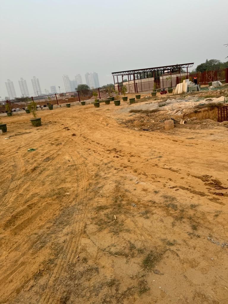 olive-greens Elevation