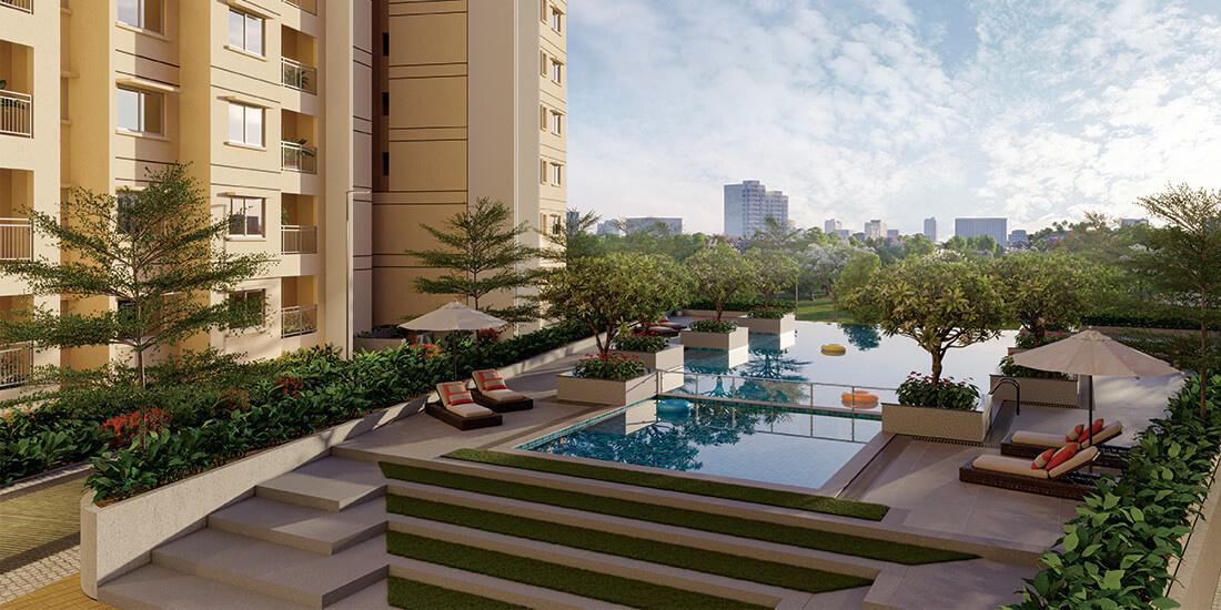 codename-new-you Swimming Pool