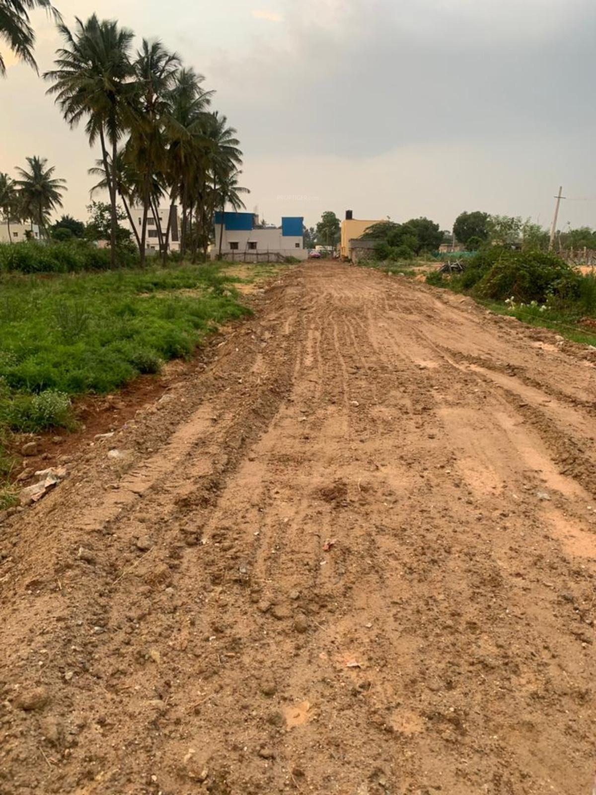 avani Plot
