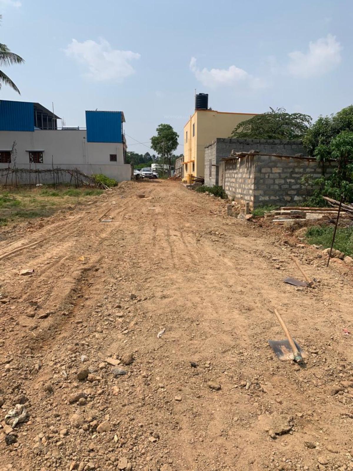 avani Plot
