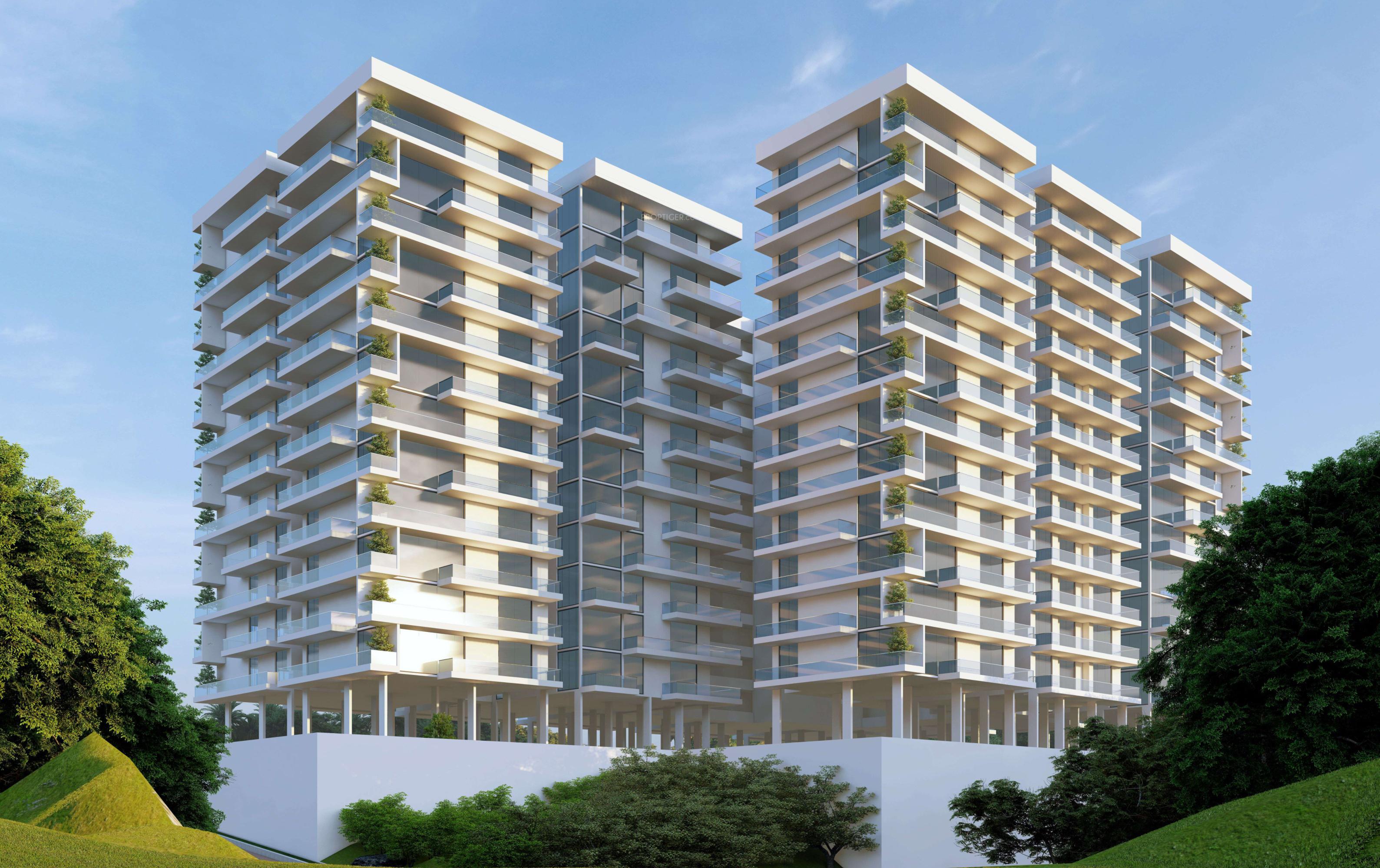 dollar-hills Elevation