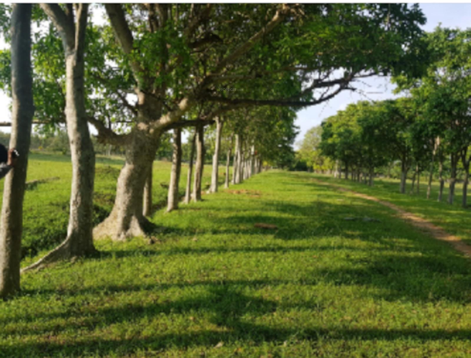 vijayanagar-eco-village Elevation