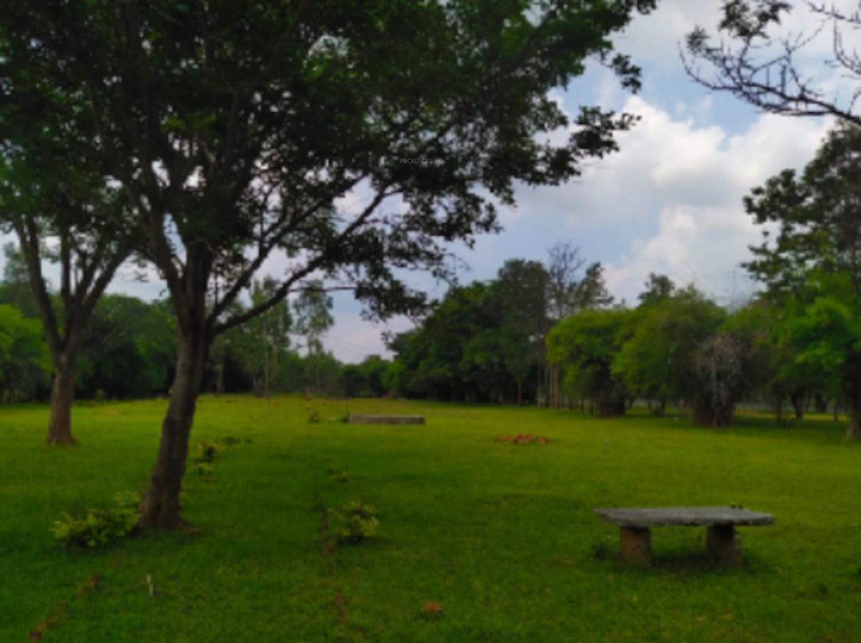 vijayanagar-eco-village Landscape Garden and Tree Planting