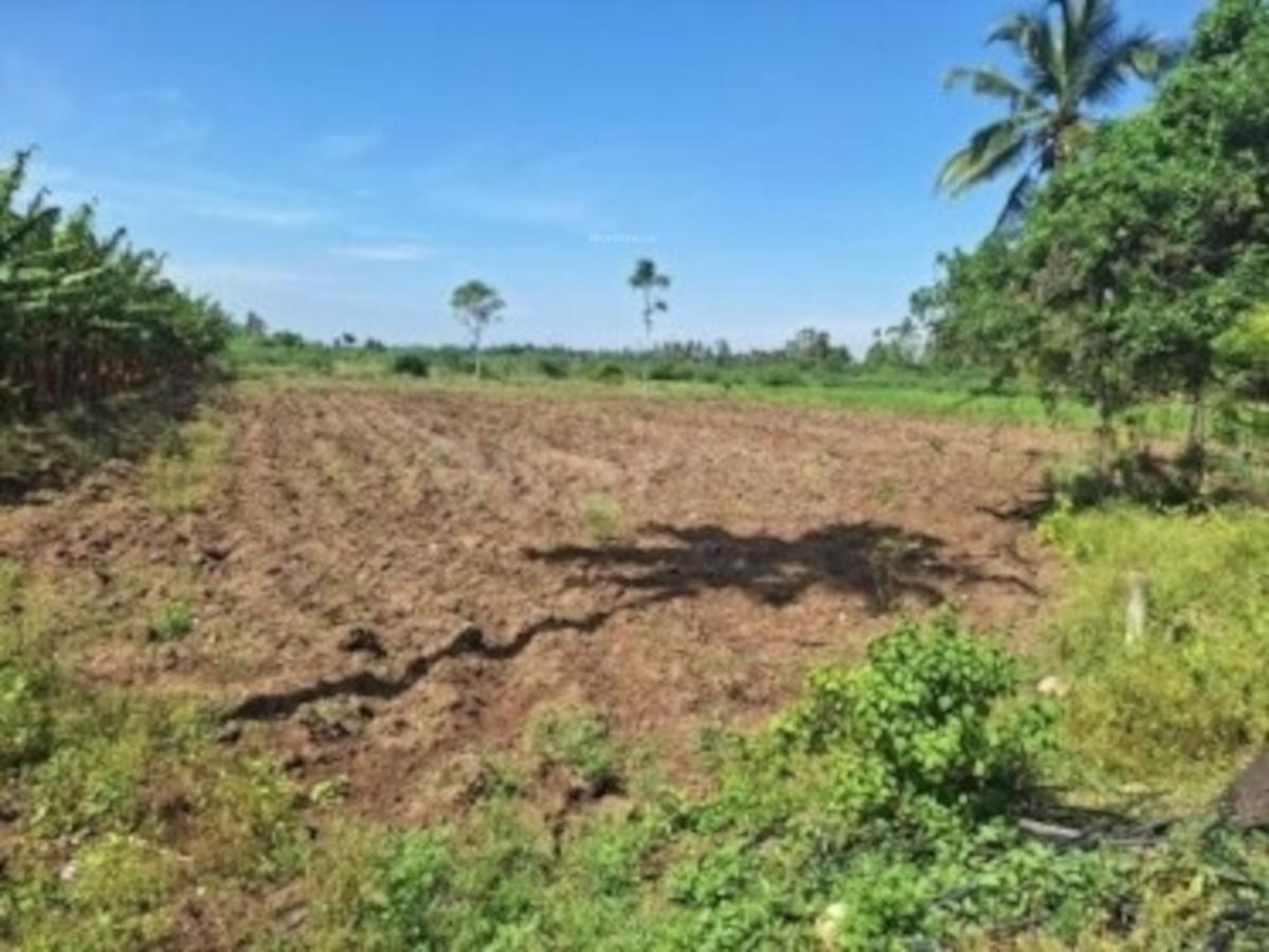 sri-alagar-nandavanam Plot