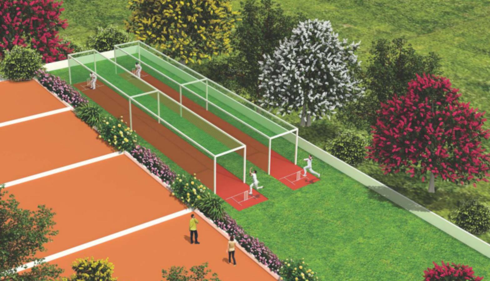 blissful-garden Cricket Pitch