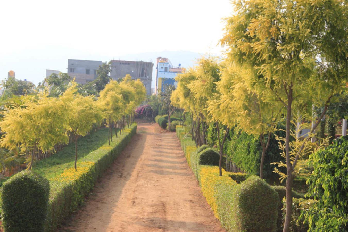 jss-4th-stage-block-c Landscape Garden and Tree Planting