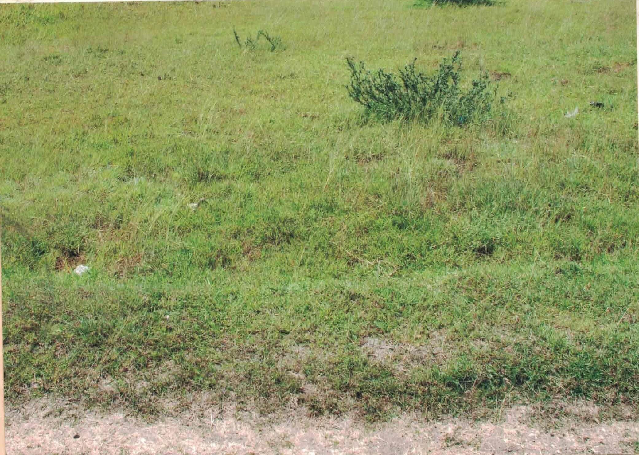 ananta-homes Elevation