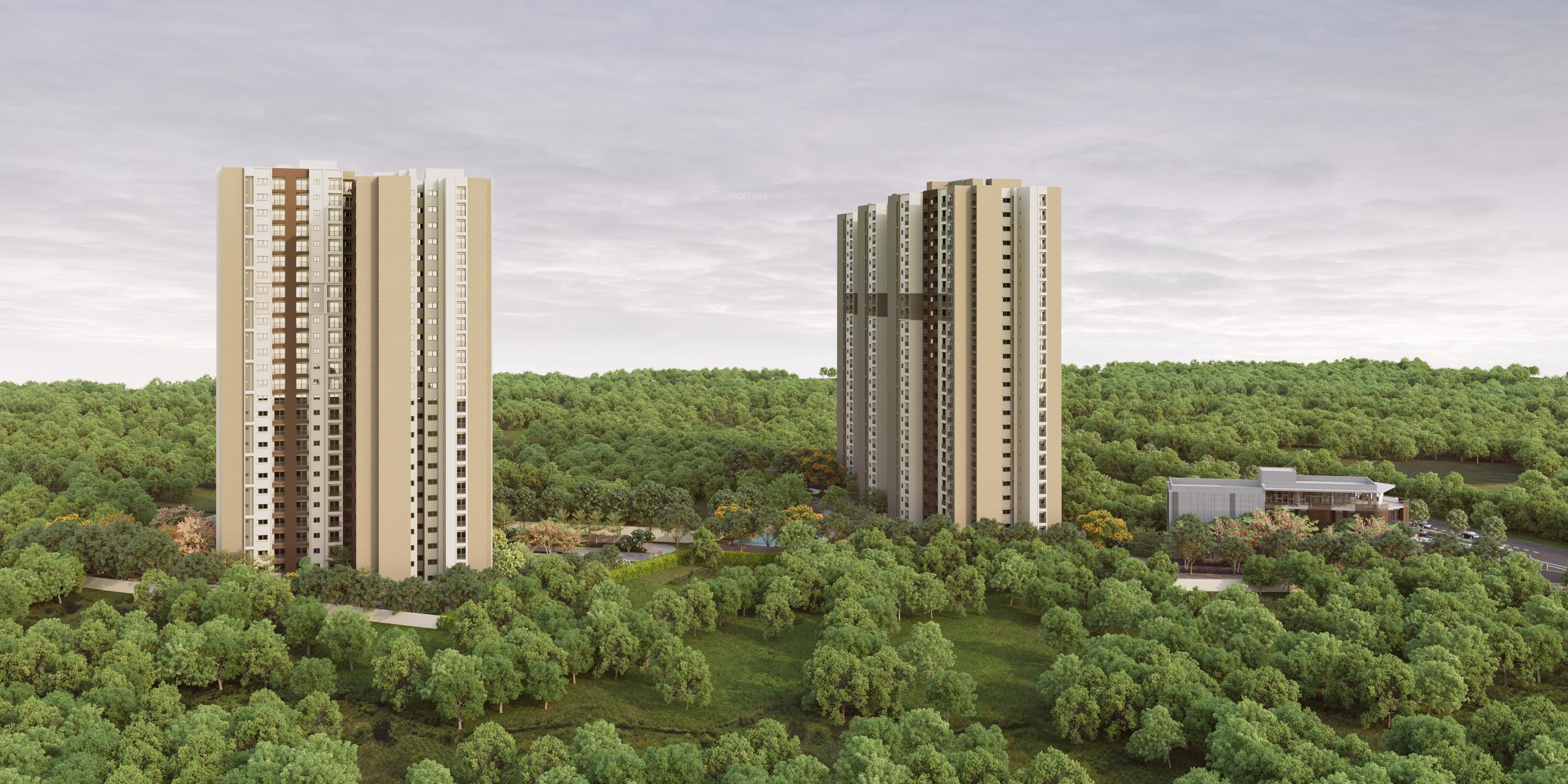 orchid-life Elevation