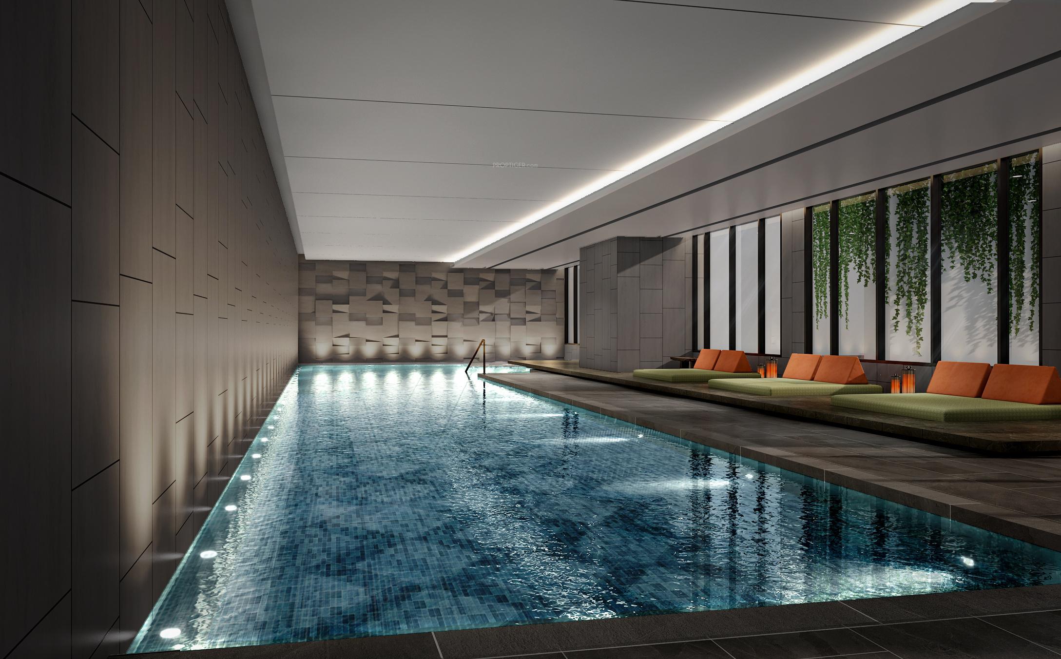 kailasaa Swimming Pool