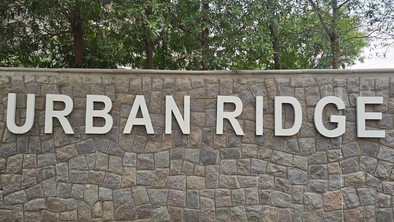 urban-ridge Elevation