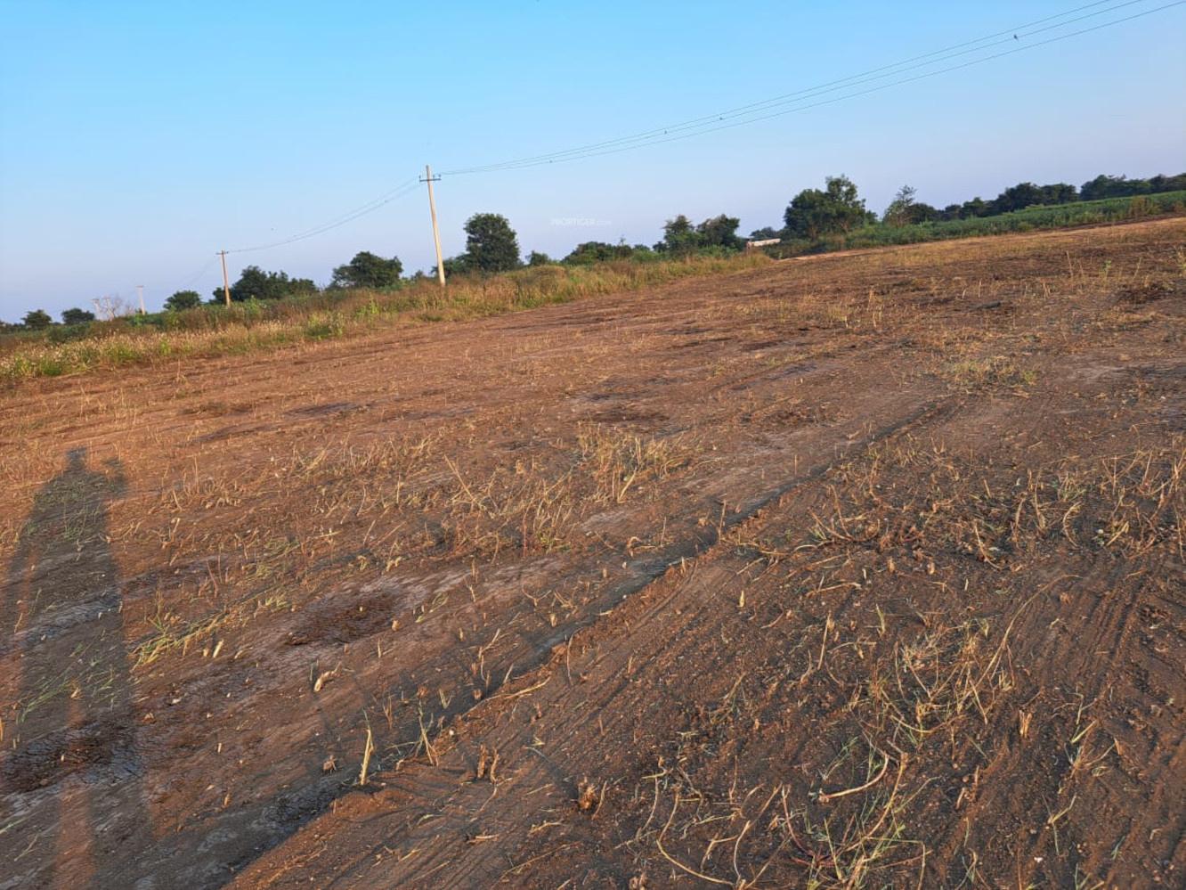 rajadhani-phase-ii Plot