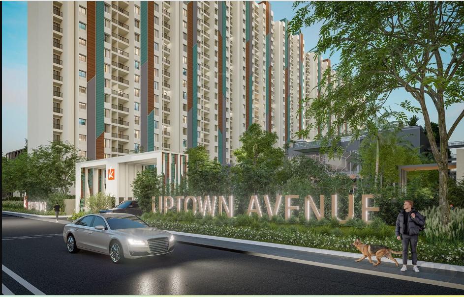 uptown-avenue Elevation