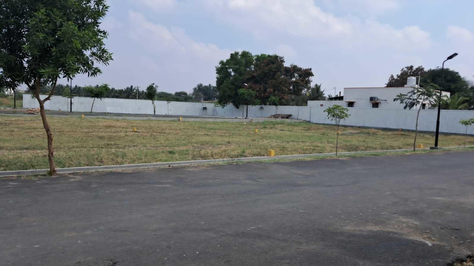 green-gold-city Plot