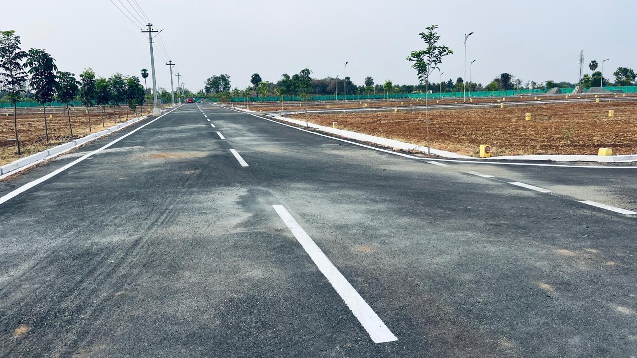 thiru-murugan-nagar Plot