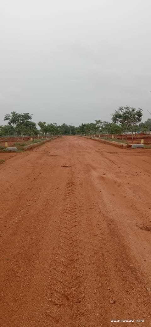 shiva-nandi-phase-1 Plot