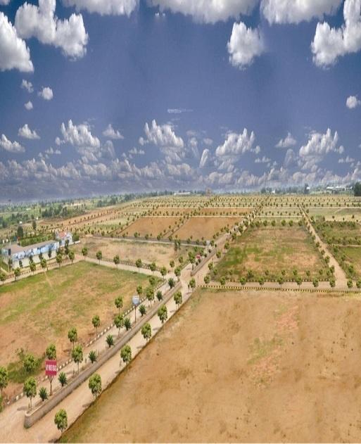 palm-estate Elevation