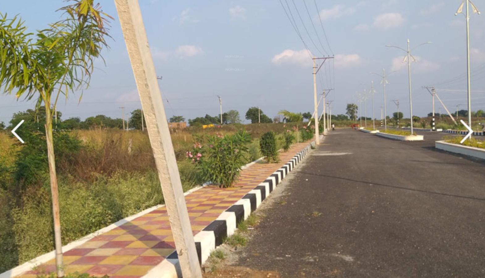 tricolour-brown-valley Plot
